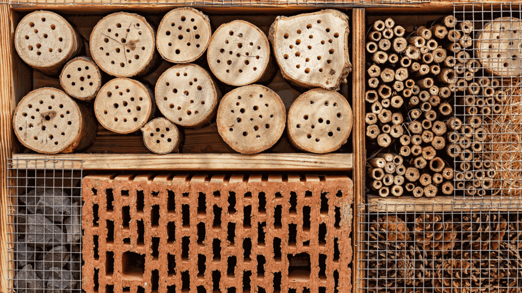 Hoteles de insectos: refugios para la biodiversidad útil