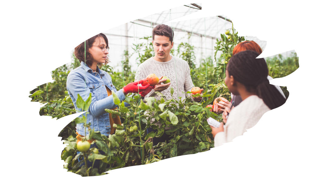 ¿Cómo puedes apoyar a las mujeres de la huerta?