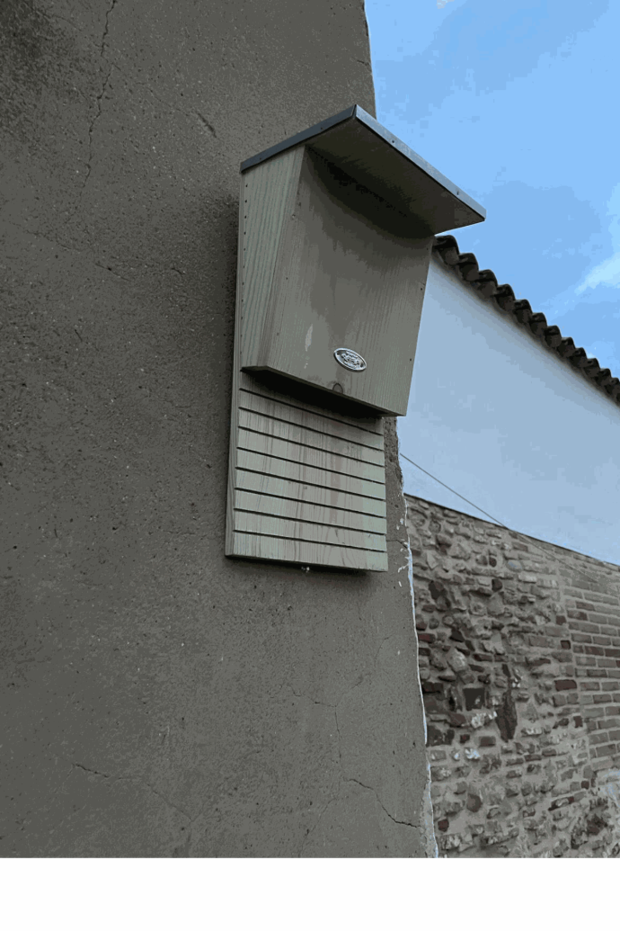 Imagen del proyecto Guardianes Nocturnos