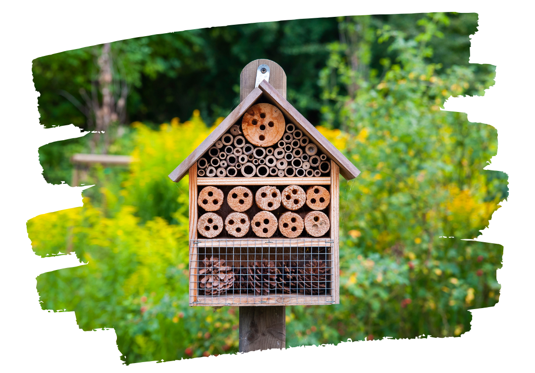 Hoteles de insectos: refugios para la biodiversidad útil