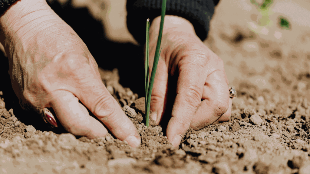 ¿Cómo puedes apoyar a las mujeres de la huerta?