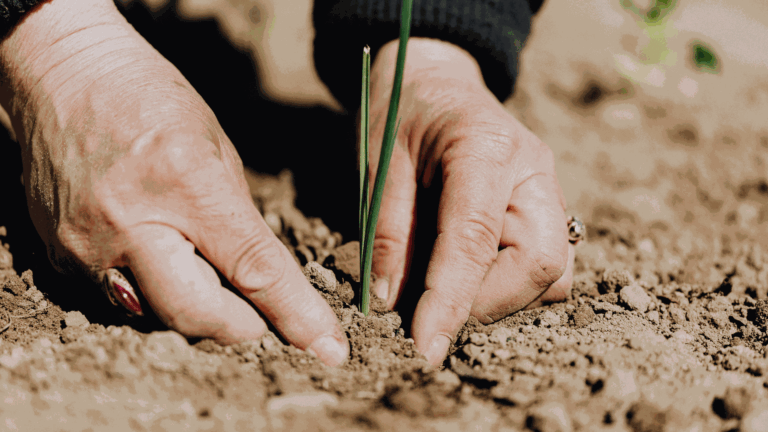 ¿Cómo puedes apoyar a las mujeres de la huerta?