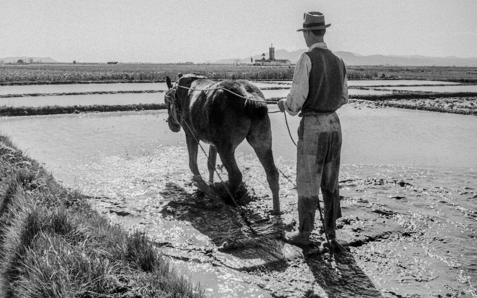 Imagen del proyecto La tradición de los trabajos en la huerta valenciana