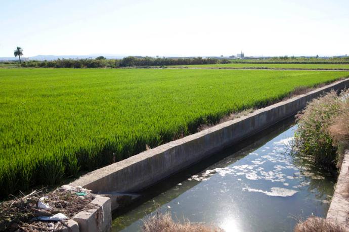 The irrigation channels of the Vega de Valencia: a living water heritage