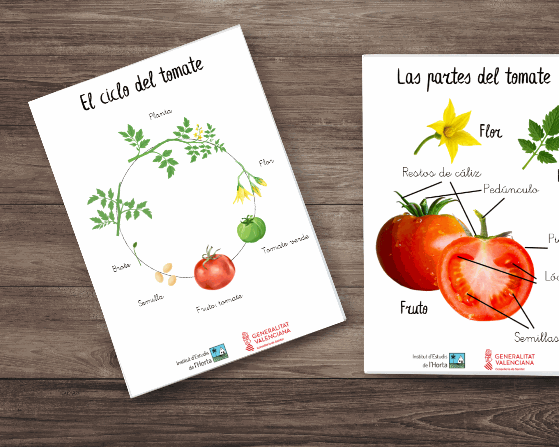 Imagen del proyecto Alimentación saludable desde la infancia