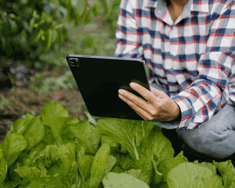¿Sabías que la inteligencia artificial está revolucionando la agricultura? 🌾 Descubre cómo la IA y ChatGPT están ayudando en el campo y en tu día a día.