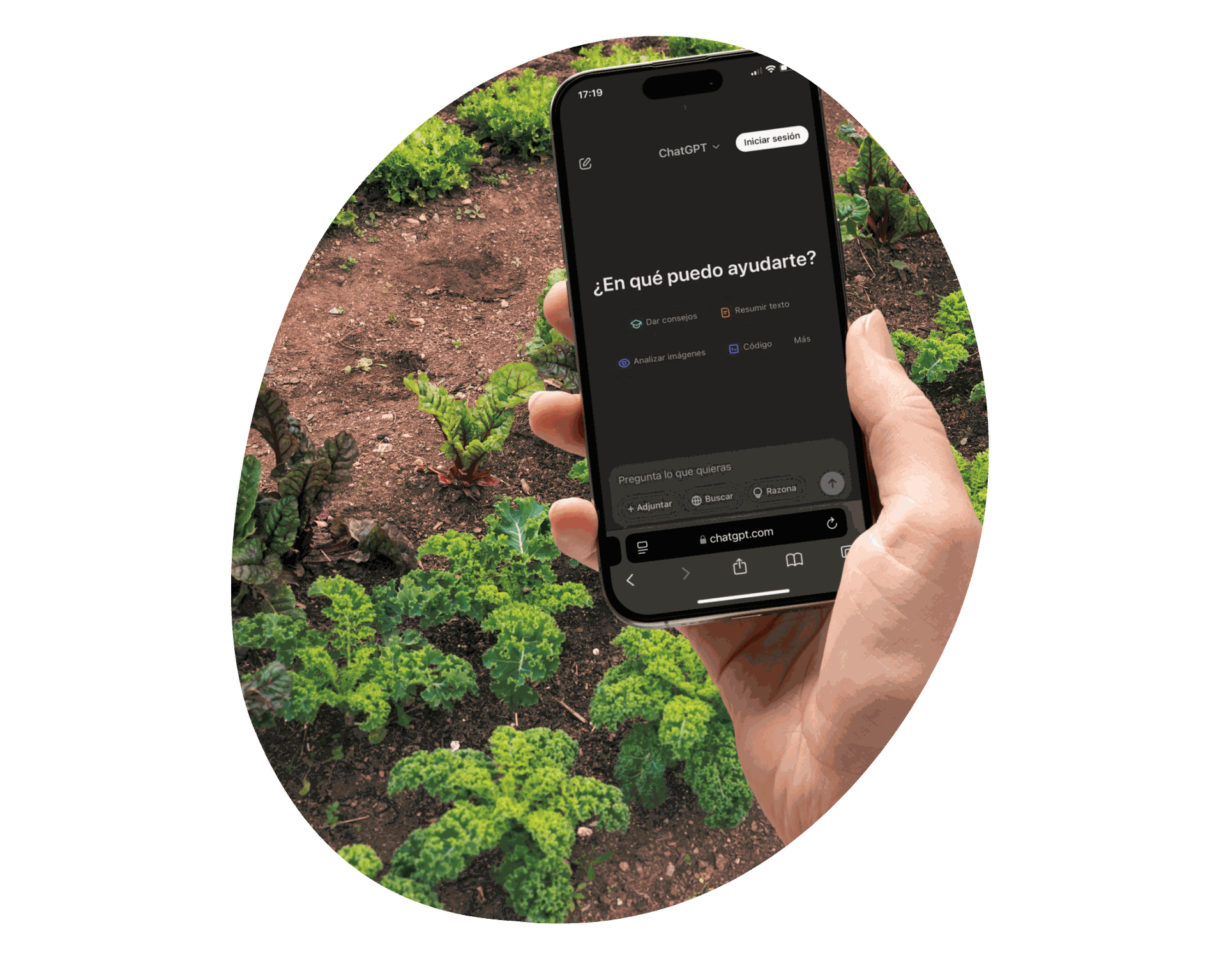 Did You Know Artificial Intelligence Is Transforming Agriculture? 🌾 Discover How AI and ChatGPT Can Help on the Farm and in Everyday Life