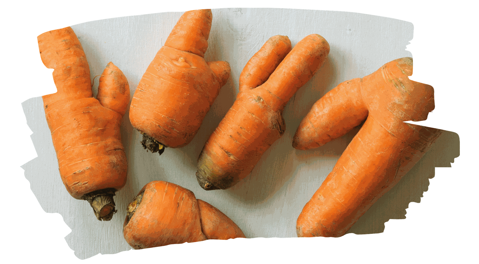 Nueva Ley contra el Desperdicio Alimentario en España