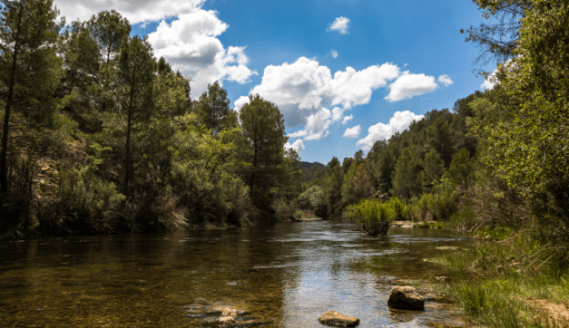 Reserva Biosfera
