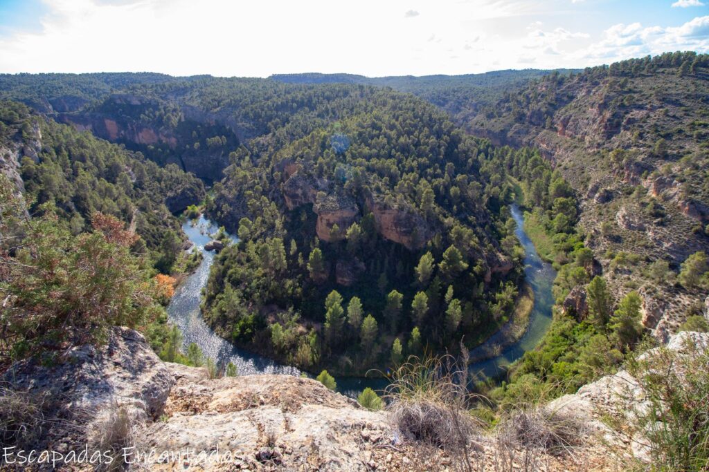 The Importance of Forests in Fire Prevention: How Responsible Tourism Can Help