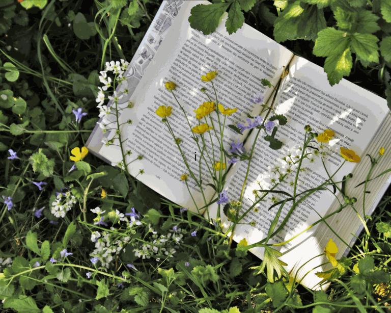 Recomendaciones de libros en Valenciano para los más pequeños