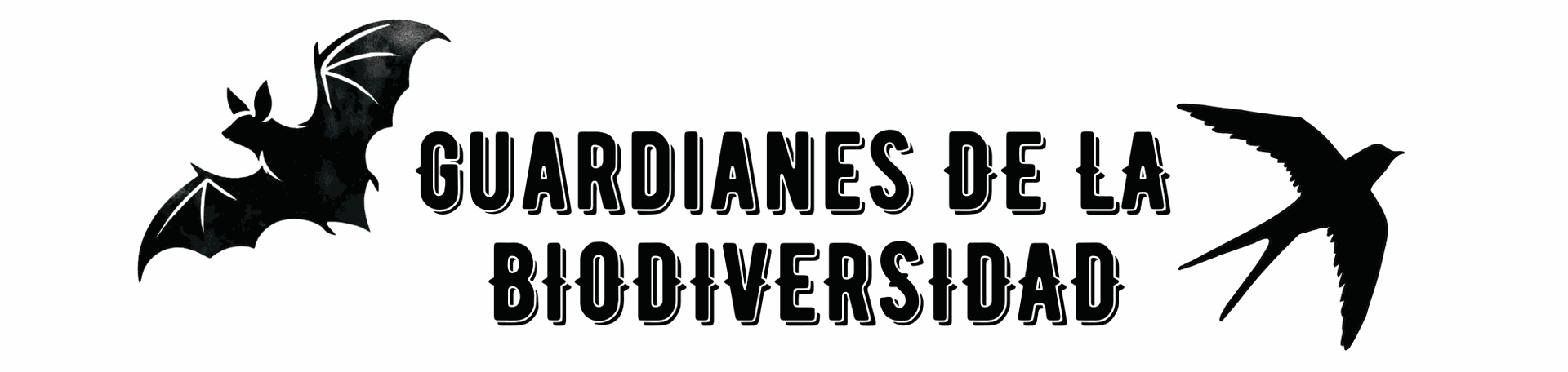 Entidad financiadora del proyecto