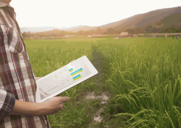 Casos de éxito en el emprendimiento sostenible: El sector agroalimentario en la Comunitat Valenciana