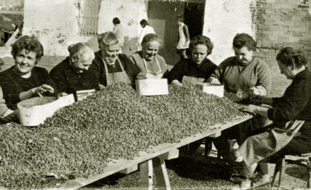 Nuevos recursos para visibilizar el papel de las mujeres en la huerta valenciana