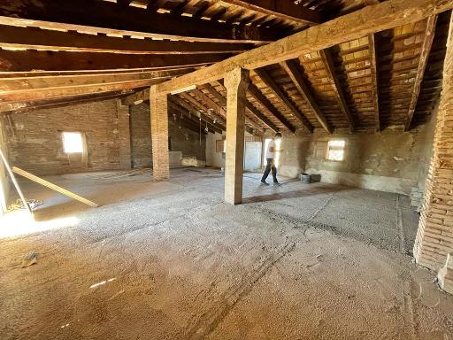 Imagen del proyecto La tradición de los trabajos en la huerta valenciana
