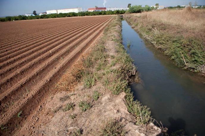 The irrigation channels of the Vega de Valencia: a living water heritage