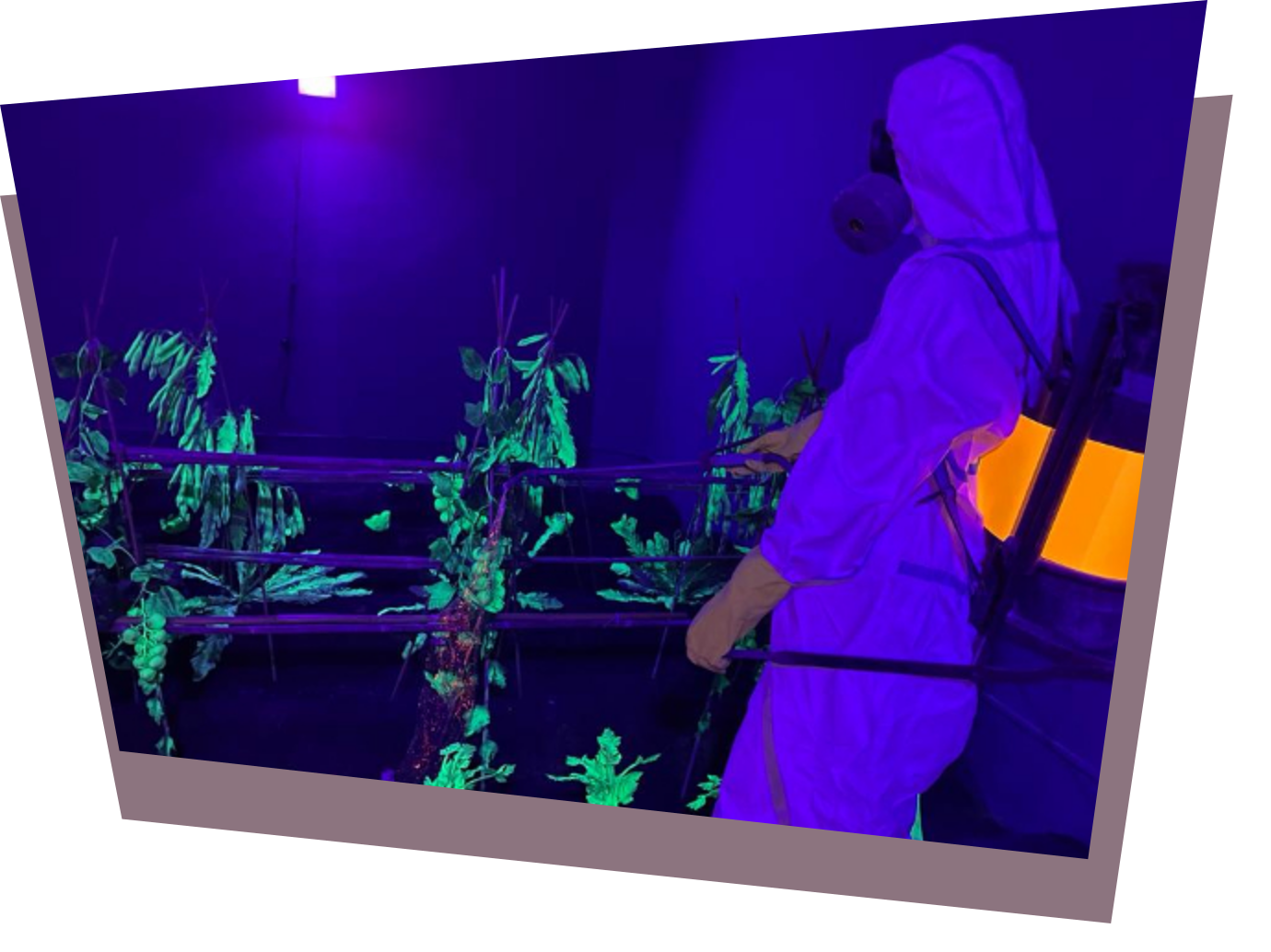 The CCCC Exhibition ‘Emergency on Planet Earth’: How Agroecology Can Drive Change