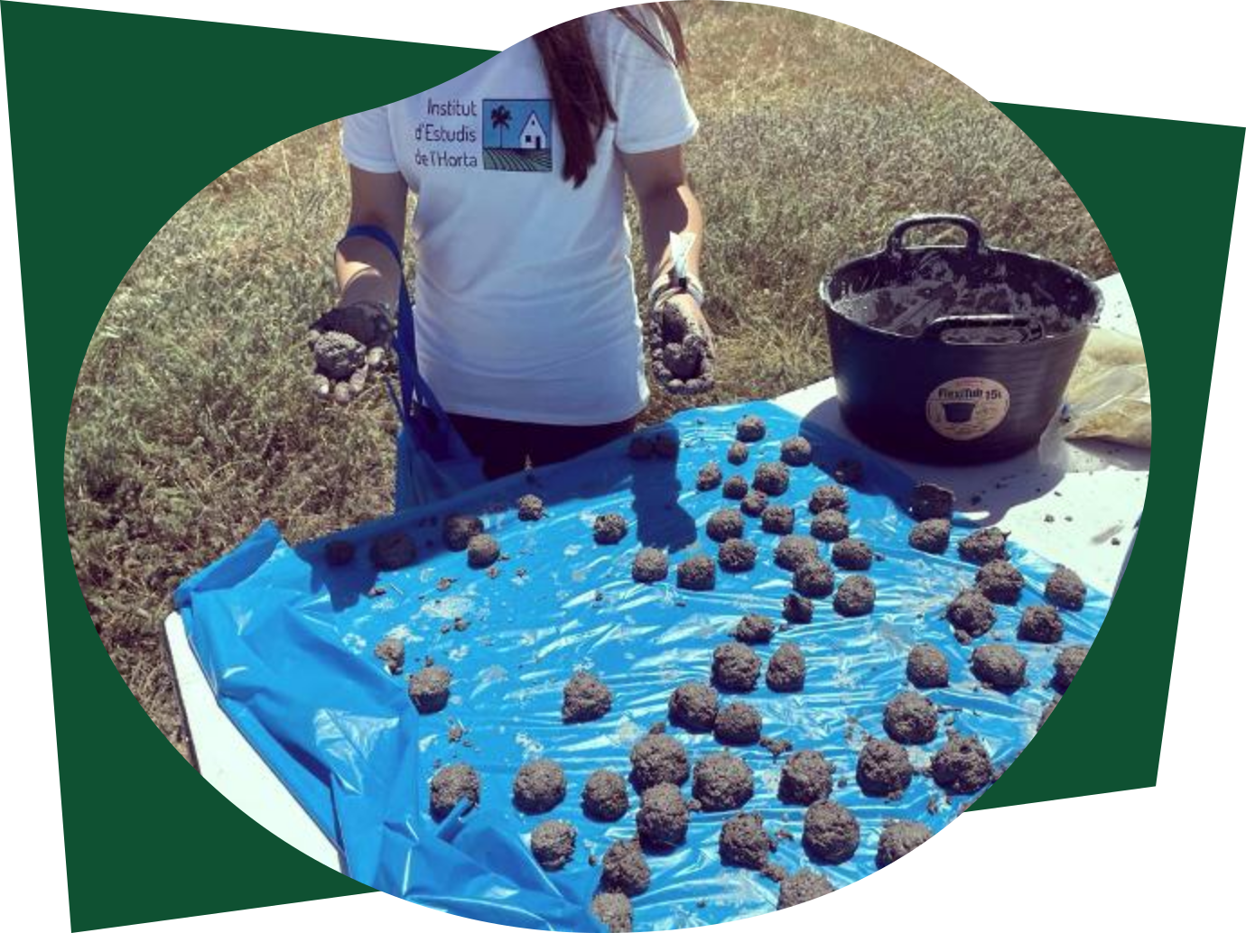 Participation in environmental workshop and planting of native species promoted by Decathlon
